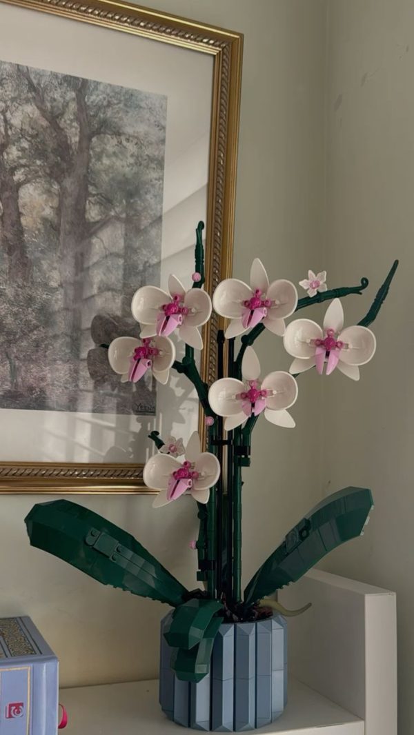 Big Orchid - Image 3