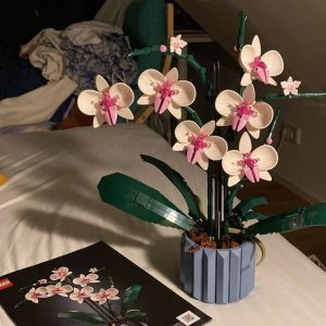 Big Orchid
