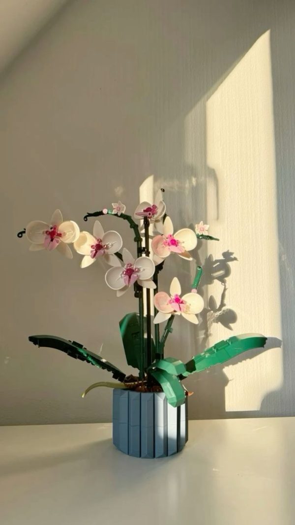 Big Orchid - Image 2